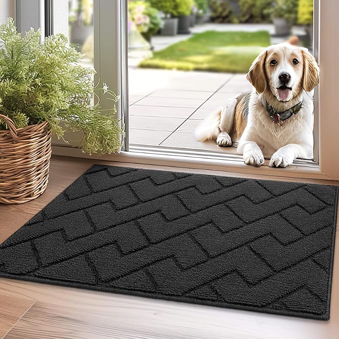 Biscpro Door Mat 50x80 cm, Indoor DoorMat Washable